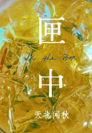 匣中小说