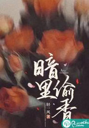 暗里偷香小说