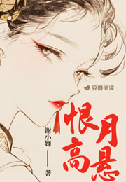 恨月高悬小说