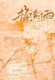 梅子黄时雨小说