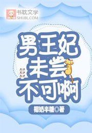 男王妃，未尝不可啊小说