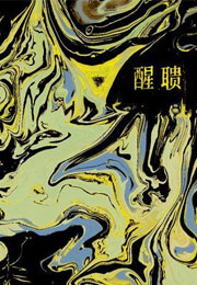 醒聩小说