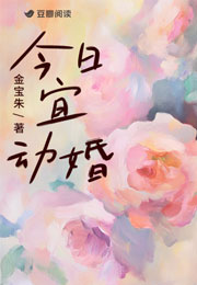 今日宜动婚小说