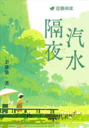 隔夜汽水小说
