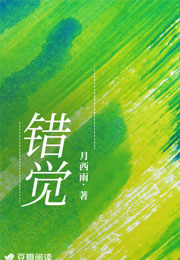 错觉月西雨小说