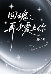回魂；再次爱上你小说
