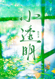 小透明陈讼小说