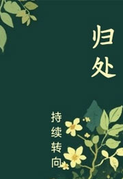归处持续转向小说