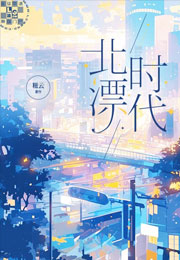 北漂时代小说