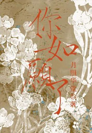 你如愿了小说