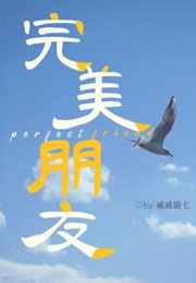 完美朋友小说