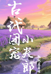 古代夫郎甜宠日常小说